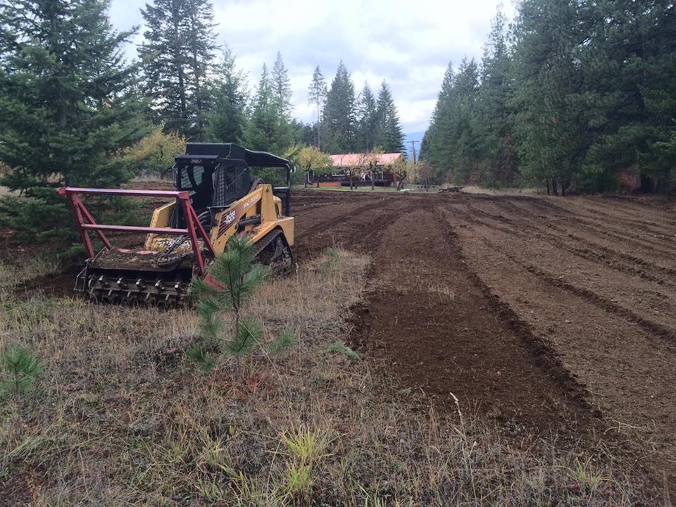Forestry mulching in progress in a North Idaho forest