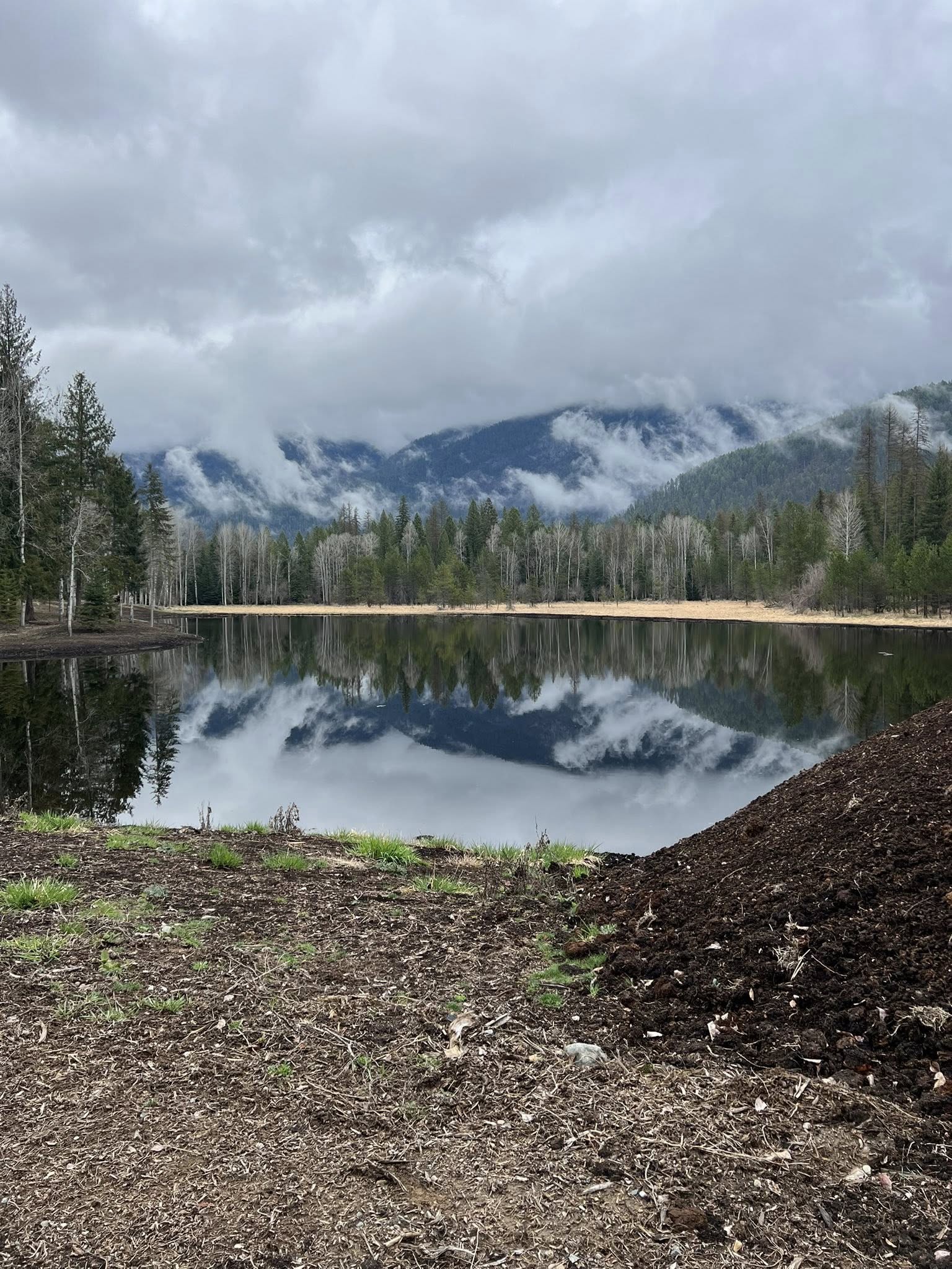 Pond construction project in North Idaho by Northwest Logging Co.